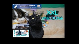 Unboxing Katzenhilfe Westerwald eV [upl. by Scheck37]