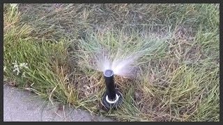 How to install a Rain Bird 1804 sprinkler head [upl. by Nylorahs]