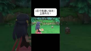 ダイパリメイクで5日で御三家色違い出た！ダイパリメイク ポケモン ポッチャマ 色違い 厳選 おすすめにのりたい バズりたい fyp fypシ shorts [upl. by Alwin]