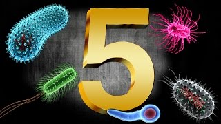 5 BACTERIAS SENSACIONALES [upl. by Ennovi979]