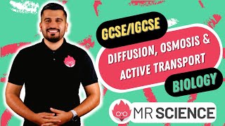 Diffusion  Osmosis  Active Transport  GCSE  IGCSE Biology  Mr Science in 8K [upl. by Ledif]