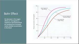 Oxyhemoglobin Dissociation Curve [upl. by Willa404]