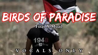 Birds of Paradise  Vocals Only  Firas x Muad [upl. by Natanhoj]