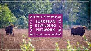 The European Rewilding Network  Bringing together rewilding initiatives from all over Europe [upl. by Kordula]