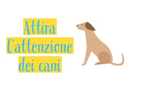 Suoni per Cani  Richiamo per cani [upl. by Noirod]