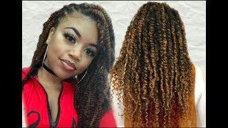 Passion Twists vs Spring Twists  Truth about Freetress and Yebo Hair [upl. by Kareem]