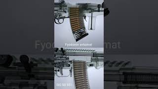 SIG SG 551 Vs Fyodorov avtomat [upl. by Antoine853]