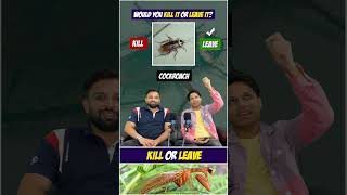 Would you rather challenge  Insects edition  This or that quizgames quiz games [upl. by Vowel]