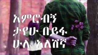 Bizuayehu Demissie Yehilme Nigist የህልሜ ንግስት lyrics [upl. by Idonah]