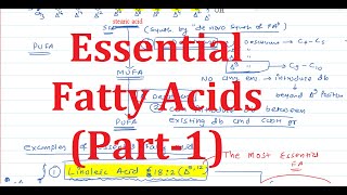 8 Essential Fatty Acids Part1 [upl. by Ylevol506]