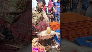 Amazing Great Delicious Pangas Fish Cutting Techniques  Fish Cutting Skills [upl. by Dominus]