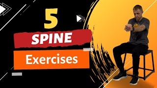 Improving Movement Essential 5 Spine Exercises for Strength and Flexibility [upl. by Kathryne162]