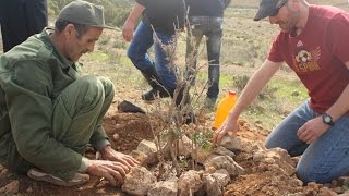 Consejos para plantar árboles en zonas áridas [upl. by Eldorado764]