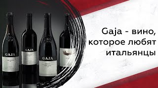 Gaja  вино которое любят итальянцы [upl. by Oam582]