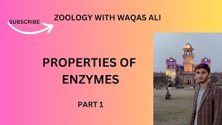 Properties of enzymes part 1 Nature of enzymes Zymogens or proenzymes  Location of enzymes [upl. by Zetnas]