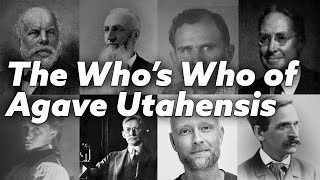 The Whos Who of Agave Utahensis Scientists Botanists and Explorers [upl. by Elok10]