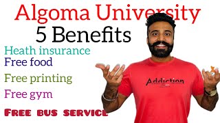 Algoma University 5 Benefits for International Student 🇨🇦youthofpunjabca canada saultstemarie [upl. by Gala]