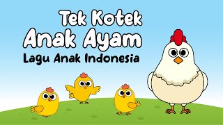 TEK KOTEK ANAK AYAM ♥ Lagu Anak dan Balita Indonesia  Keira Charma Fun [upl. by Glory]