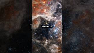 Magellanic Clouds Our Galactic Neighbors🌞✨shorts ytshorts trending facts beauty space reels [upl. by Ylatfen]