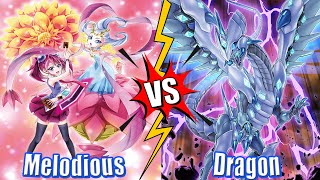 Melodious vs Dragon  High Rated DB YuGiOh 2024 [upl. by Aryk]