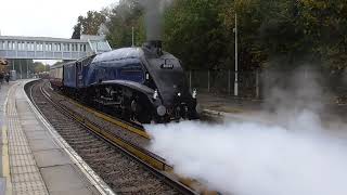 60007 quotSir Nigel Gresleyquot at East Grinstead 23102024 [upl. by Lehcyar]