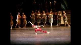 La Bayadere Svetlana Zakharova [upl. by Telracs]