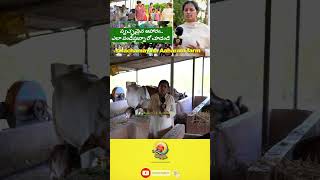 farming ecofriendlyagriculture organicfarming agriculture natural satyam24raithubadi [upl. by Eillah]