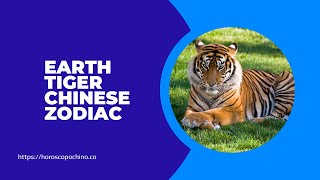 Earth tiger chinese zodiac [upl. by Benedick189]