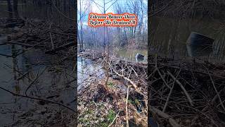 Extreme Make Over For Extreme Beaver Dam beaverdam shorts [upl. by Ediva]