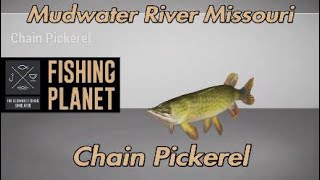 Fishing Planet Chain Pickerel Mudwater River Missouri [upl. by Akeber46]