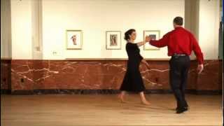 Waltz  Grapevine  Virtual Ballroom Lessons [upl. by Acinom]