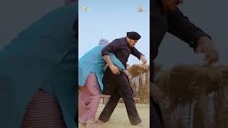 Best Of Sidhu Moose Wala [upl. by Naahs]