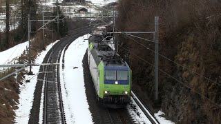 BLS Cargo Güterzüge bei Frutigen  oberhalb und aus dem LBT [upl. by Aurora457]