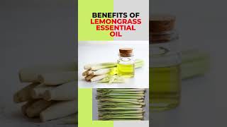 Lemongrass Essential Oil  The Surprising Health Benefits lemongrass essentialoils [upl. by Artap397]