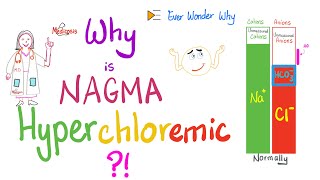 The Serum Anion Gap AGWhy is NAGMA associated with High Serum Chloride [upl. by Kerk]