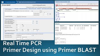 Primer designing for real time PCR using NCBI Primer Blast [upl. by Nic]