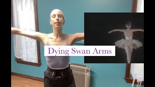 Dying Swan Arms Explained [upl. by Delmore350]