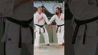 Bunkai Pinan Heian Sandan [upl. by Ryder]