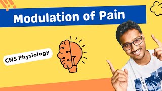 Modulation of pain  CNS physiology [upl. by Placia]