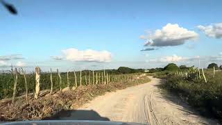 Exploring the outback of Baraúna Paraíba Brazil [upl. by Sanjiv]