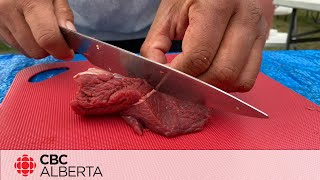 CBC investigation update Alberta cracking down on illegal meat market [upl. by Naerad303]