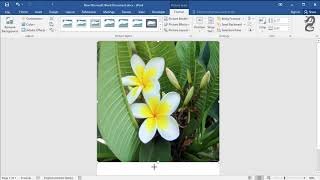 How to make an image fill the entire page in Word Using full size of page for an image [upl. by Bruckner]