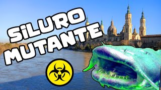 Dos Pescadores Capturan En España Un Gigantesco Bagre Siluro Verde Mutante Monstruoso Bizarracero [upl. by Otanod]