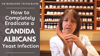 How to Completely Eradicate a Candida Albicans Yeast Infection [upl. by Ulberto]