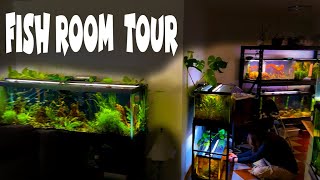 Planted Tank Paradise A Fish Room Tour of Planted Tanks Wild Discus Puffers and Cichlids [upl. by Quackenbush]