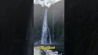 Milford Sound milford newzealand southislandnz fiord cruise [upl. by Eterg]