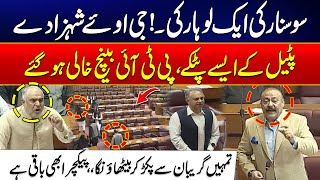 Constitutional Amendments  Qadir Patel Devastating Speech  Fiery Reply To PTI  New Chief Justice [upl. by Anirol283]