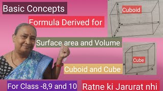 Formula based on cuboid and cube For Class89 and 10 [upl. by Llerred]