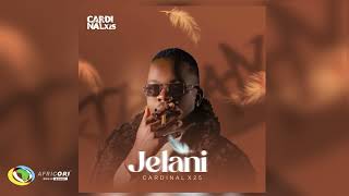 Cardinal X25  Jelani Feat EugeCube Lindie Bata Csiie and Sanelee Official Audio [upl. by Mel]