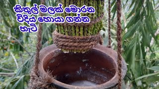 How to make a kithul flower කිතුල් මලක් මොරන විදිය natural alcoholtoddy tepinMoniktilan [upl. by Tinaret665]